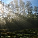 진진공인중개사사무소 이미지