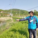 궁현2리 동양일보