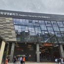 2025시즌 KBO리그 대전 한화생명볼파크 NC vs 한화 경기 직관후기_강우콜드(2025.04.19.)