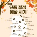 2023 단풍 절정 예상 시기.jpg 이미지