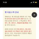 퀸애견 이미지