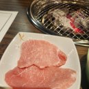 남양주 덕소 실내애견동반식당 늘푸른정원과 베이커리씨씨어터 카페 내돈내산