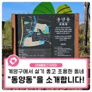 인천당산초등학교 | 계양구에서 살기 좋고 조용한 동네 "동양동"을 소개합니다.