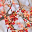 수진2동 이미지