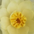 기쁨뜨락농장 이미지