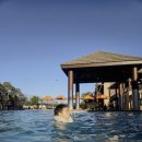 바인스짐 이미지