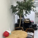 공존의기쁨 | [안양] 안양일번가네일 , 안양네일샵 추천 “쌩얼미인theNAIL” 방문 후기