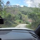 일월관광농원캠핑 | [국내여행] 국내여행에 글이 너무 없길래 대충 써보는 캠핑일기 /일월관광농원