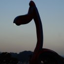 삼칭이해안길 이미지