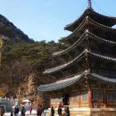 속리산 법주사 이미지