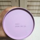 데일리쉬(Dailish)