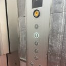 155 | 성수동 누데이크 티하우스, 155MM 솔직후기 (시그니처 주전자 필수)