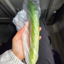 콜모텔 | 민둥민둥하다 민둥민둥한 민둥산⛰️후기 | 내가 정신병에게로 가는 무궁화호 괴담,,😱