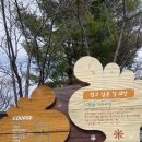 시청앞 가로수길 이미지