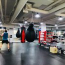 SH 다이어트 복싱 이미지