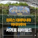 라이브투어서귀포지점 | [제주 서귀포] 제주도 가볼 만한 곳! 제주 워터월드...대해적시대' 아시아 투어 전시 내돈내산 솔직 후기