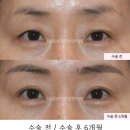 서연성형외과의원 이미지