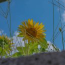 해안마을회관 이미지