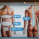 마린코어 이미지