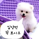 건강하오 이미지