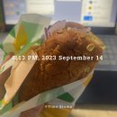 블랙핑크 콘서트 갔다온 사람의 9월 세번째 일상🖤🩷