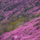 청산(靑山) 이미지