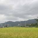 장화리 시골집 이미지