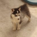 가정1-02-011 이미지