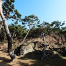 탈해왕릉 이미지