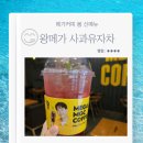 메가MGC커피 신자초사거리점 봄 신메뉴 할인정보 가격인상 왕메가 사과유자차 내돈내산 리뷰