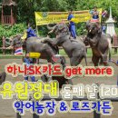 유안농장 이미지