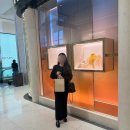 파인골드 앤 네이처 | [ෆW.08] 대전 신세계백화점 웨딩밴드 불가리 뉴비비 화이트골드 구매후기 + 예약방법