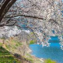 토영이야~길(1코스-예술의 향기길) | 6월에 걷기 좋은 길 4선] 시흥 거북섬둘레길, 통영 토영이야길 1코스 예술의 향기길, 화성 국화도 해안...