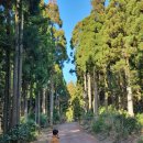 아름다운 당구클럽 이미지