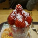 요거프레소김천 네이버블로그
