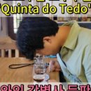 토르가(Torga)