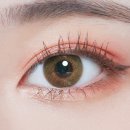 안경존중 렌즈타운 양주옥정점 이미지