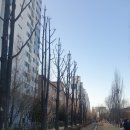 김쌤헤어 네이버블로그