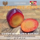 군위농협 | 새콤함을 느낄 수 있는 최적의 시기! 군위자우 내돈내산 후기! (칼로리 효능과 당도 비파괴 검사 원리까지)