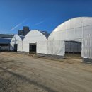 보은 태양광발전소 이미지