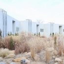 루오스테이 수월 이미지