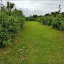 힐링카약파크비체올린 이미지