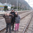 해돋이목장 이미지