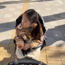 화방투어 이미지