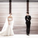 위플스튜디오 이미지