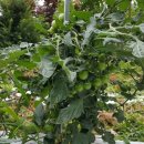 우리집펜션민박 이미지