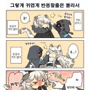 카란 이미지