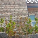 성산적벽돌 이미지