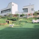 Dogi Dogi(도기도기) 이미지