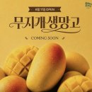 [내돈내산] 샤브올데이 망고 무한리필 후기